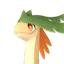 Braloha