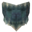 Carapace