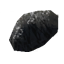Coal