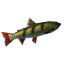 Perch