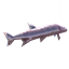 Tetra