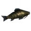 Giant Herring