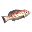 Grouper