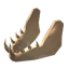 Vilebone Visage