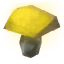 Yellow Mushroom