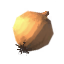 Onion