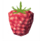 Raspberries