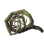 Root
