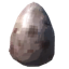 Volture Egg